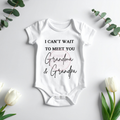 Grandparent/Great Grandparent Pregnancy Announcement Onesies